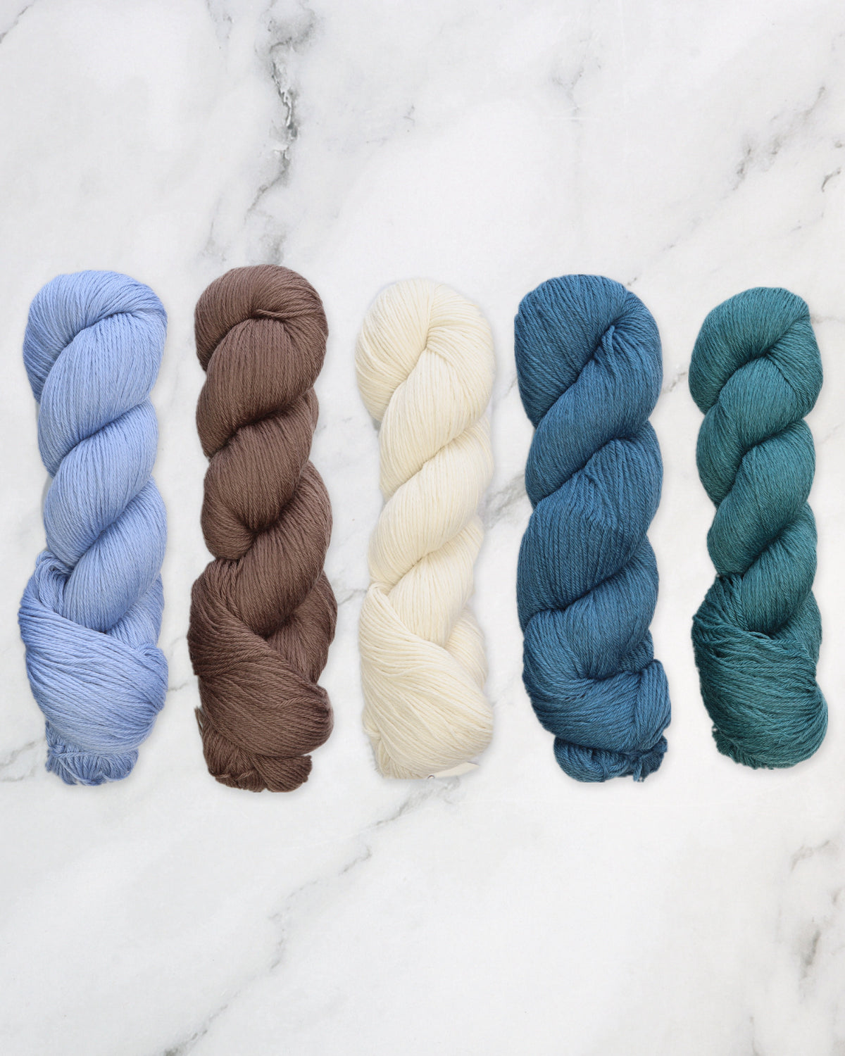 Artus Shawl Kit in Cheeky Merino Joy in Water