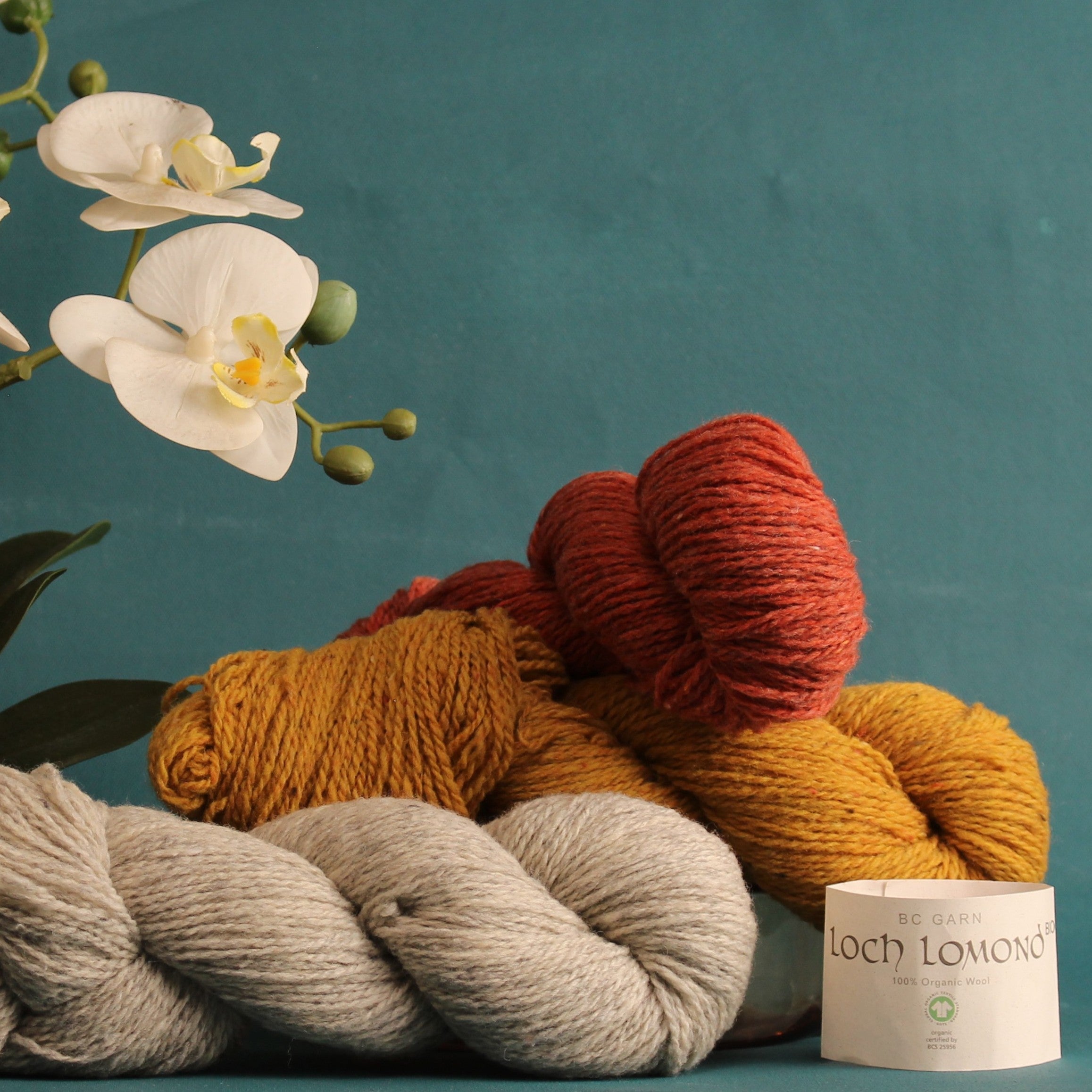 BC Garn Loch Lomond GOTS – 8ply weight wool yarn – view 4