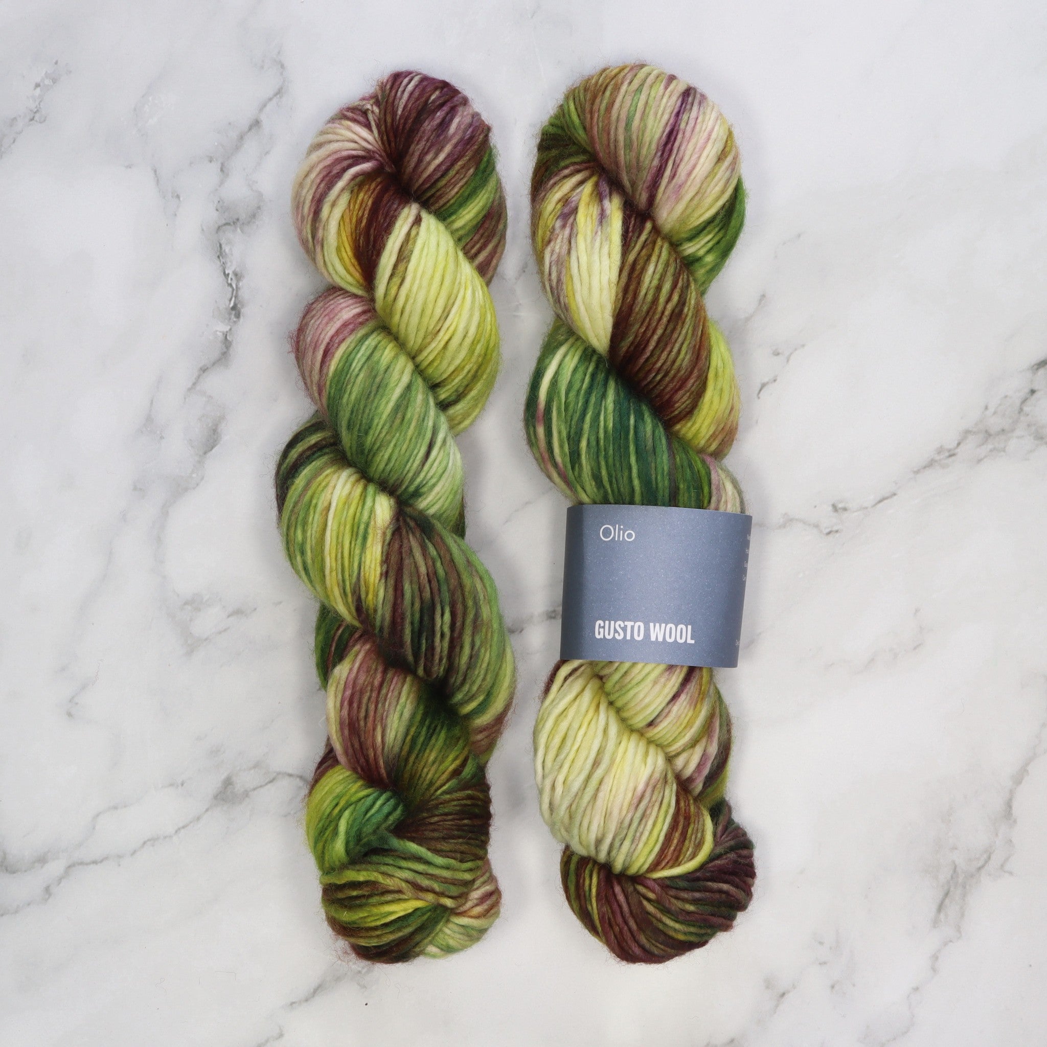 Gusto Wool Olio in colourway Undergrowth – 10ply weight merino yarn