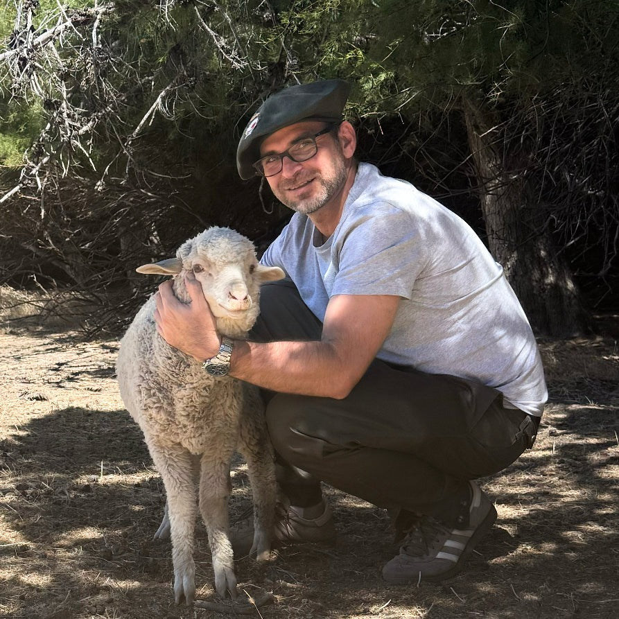 Paul Pascuali crouching with his arm around a merino sheep