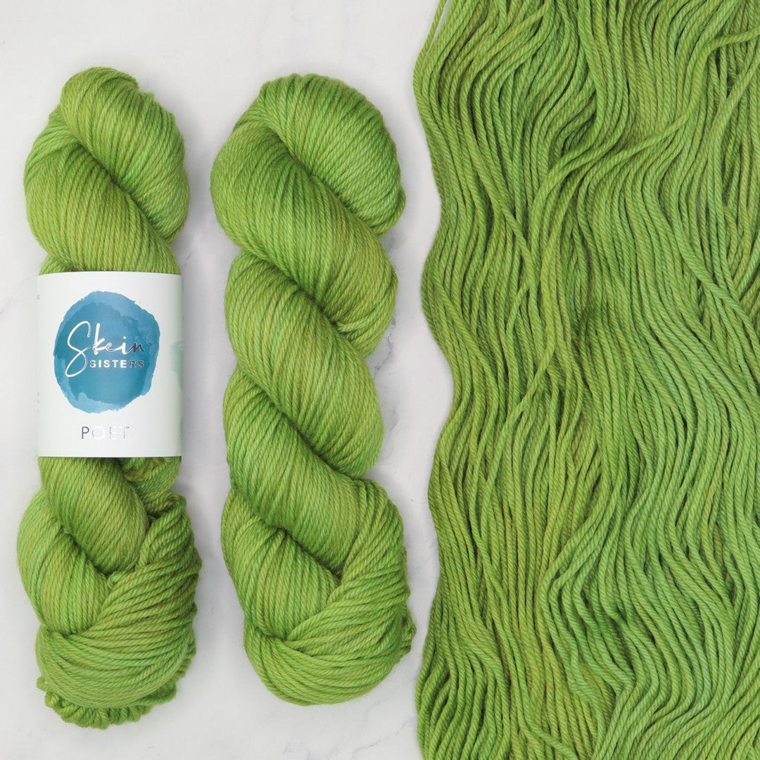 Poet Worsted – Three Skein Set in colourway Defying Gravity – 10ply weight merino, nylon, silk yarn