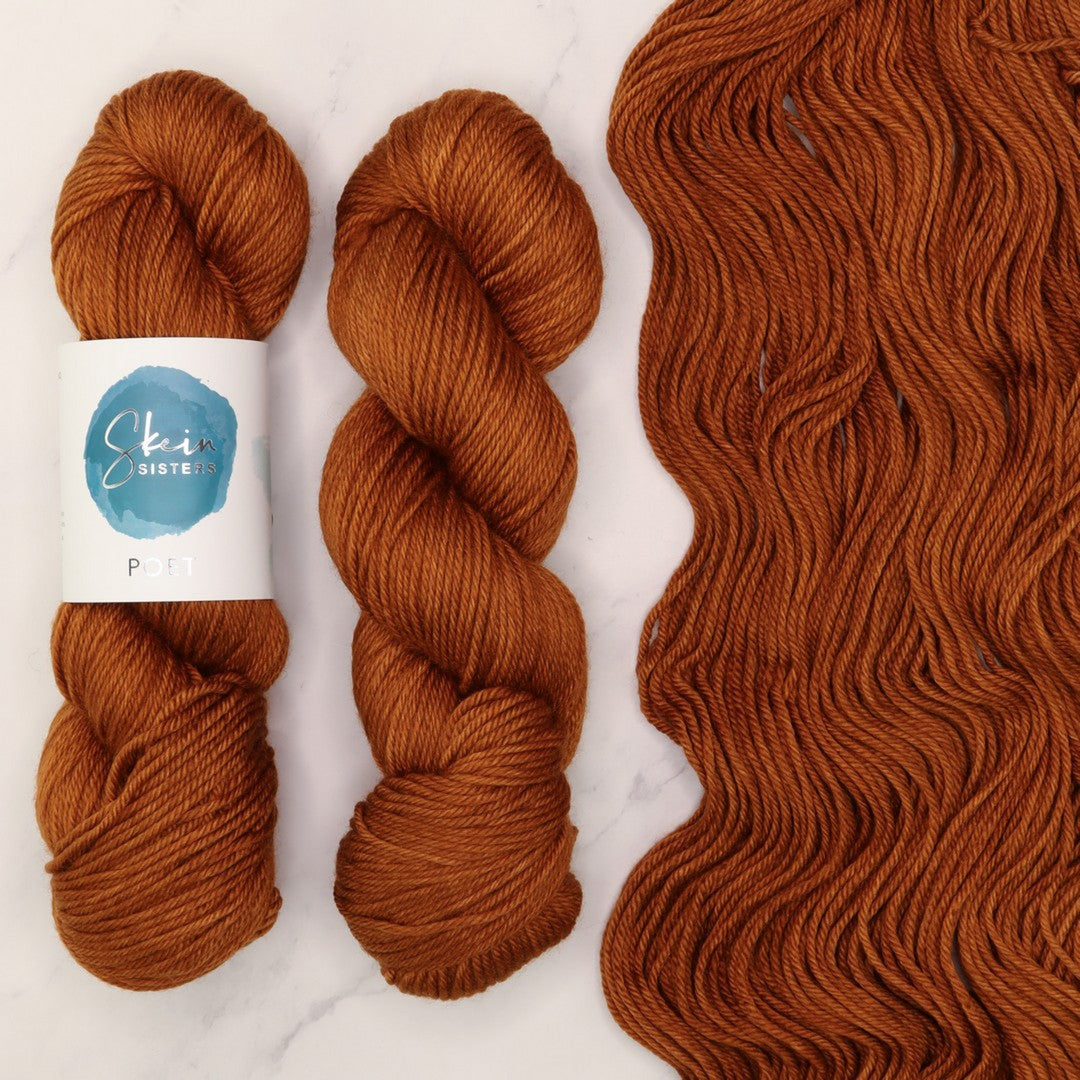 Skein Sisters Poet in colourway Teddy Bear – 10ply weight merino, nylon, silk yarn
