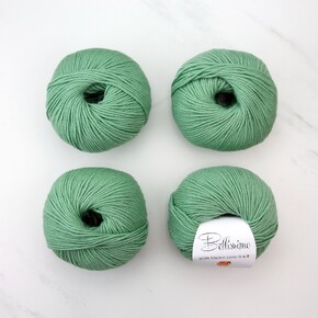 Bellissimo 8ply Merino Extra-fine: 221 Sage