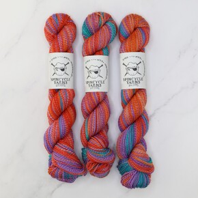 Spincycle Yarns Dyed In the Wool: Sex on the Beach 