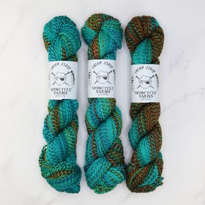 Spincycle Yarns Dream State:  Holy Toledo