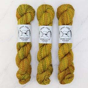Spincycle Yarns Dream State: Salty Dog