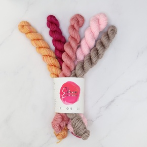Skein Sisters Fabulous Five Sock Set: Autumn Bloom