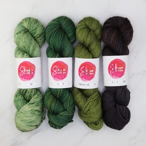 Skein Sisters Fabulous Sock 4 Skein Gradient Set: Ribbit A