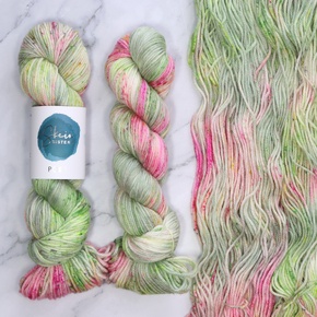 Skein Sisters Poet: 2550 Watermelon Rind