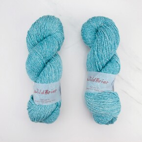 Spinning Yarns Weaving Tales Wild Brier: Dragonfly