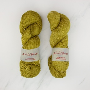 Spinning Yarns Weaving Tales Wild Brier: Lichen