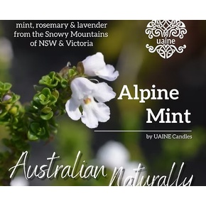 Uaine Candles Australian Naturally Travel Tins: Alpine Mint