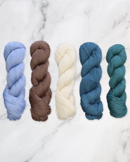 Artus Shawl Kit in Cheeky Merino Joy in Water