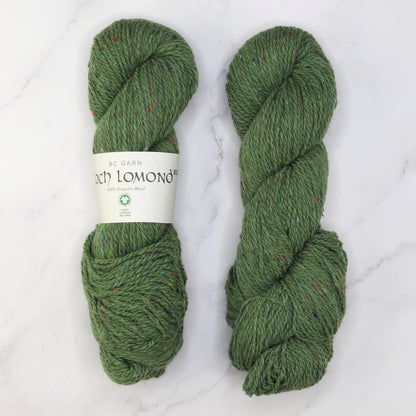 BC Garn Loch Lomond GOTS in colourway Fresh Green – 8ply weight wool yarn