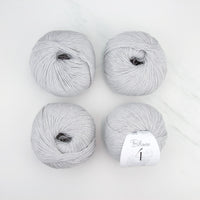 405 Silver
