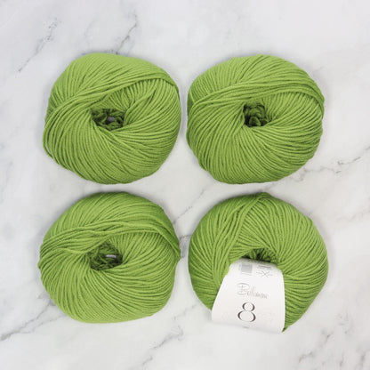 Bellissimo 8 in colourway Basil – 8ply weight merino yarn