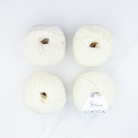50502 Ivory