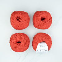 50513 Tomato