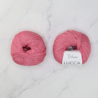 50526 Lolly