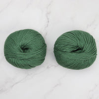 14015 Grass