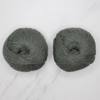 10016 Eucalypt