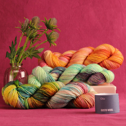 Gusto Wool Olio – 10ply weight merino yarn – view 3