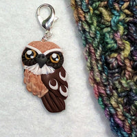 Boobook Owl