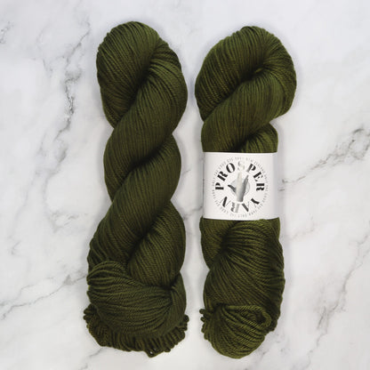 Prosper Yarns Prosper DK in colourway Ent – 8ply weight merino yarn
