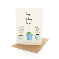 Plantation Birthday