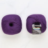 1510 Plum