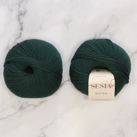 2458 Dark Teal