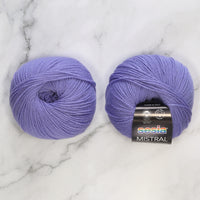 4833 Periwinkle