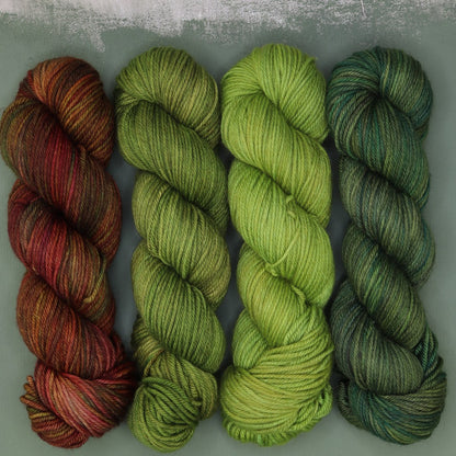 Poet Worsted – Four Colour Set in colourway Roots Corrode – 10ply weight merino, nylon, silk yarn