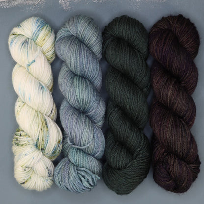 Poet Worsted – Four Colour Set in colourway Sage Advice – 10ply weight merino, nylon, silk yarn