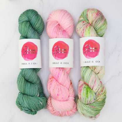 Fiber Fest Yarn kit in Fabulous Sock, colourway Watermelon