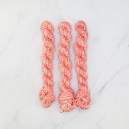 Skein Sisters Fabulous Sock Minis 20g/80m in colourway Anemone – 4ply weight merino, nylon yarn