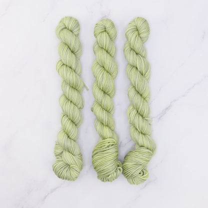 Skein Sisters Fabulous Sock Minis 20g/80m in colourway New Growth – 4ply weight merino, nylon yarn