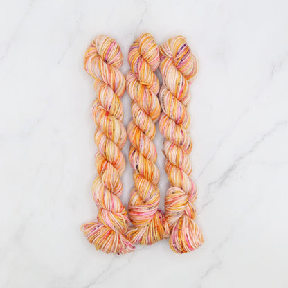 Skein Sisters Fabulous Sock Minis 20g/80m in colourway Tango Train – 4ply weight merino, nylon yarn