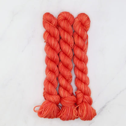 Skein Sisters Fabulous Sock Minis 20g/80m in colourway Tang – 4ply weight merino, nylon yarn