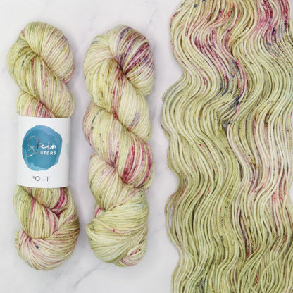 Skein Sisters Poet in colourway Daydream – 10ply weight merino, nylon, silk yarn