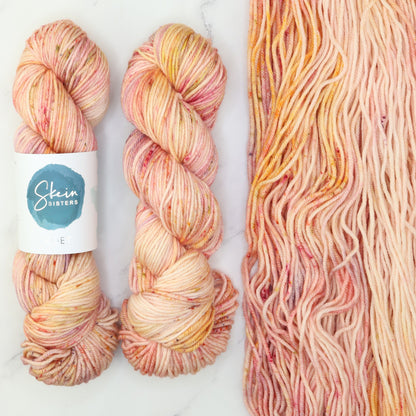 Skein Sisters Poet in colourway Underwing – 10ply weight merino, nylon, silk yarn