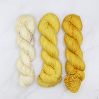 Citrus Sorbet A