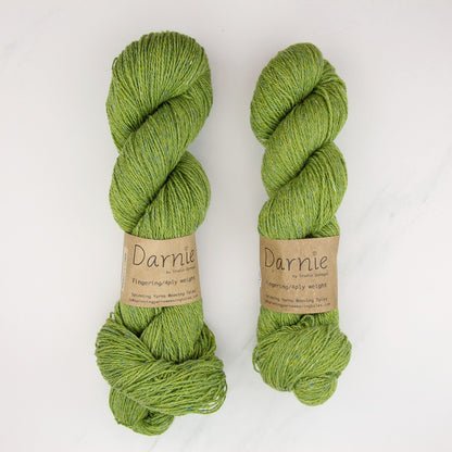 Spinning Yarns Weaving Tales Darnie in colourway Carrick – 4ply weight wool yarn