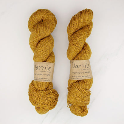 Spinning Yarns Weaving Tales Darnie in colourway Gorse – 4ply weight wool yarn