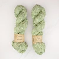 3748 Lichen