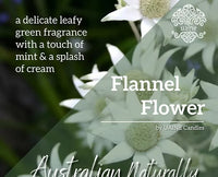Flannel Flower