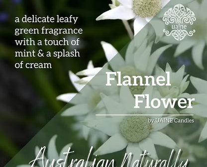 Uaine Candles Australian Naturally Travel Tin – Flannel Flower