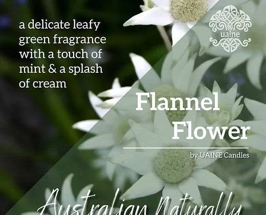 Uaine Candles Australian Naturally Travel Tin – Flannel Flower