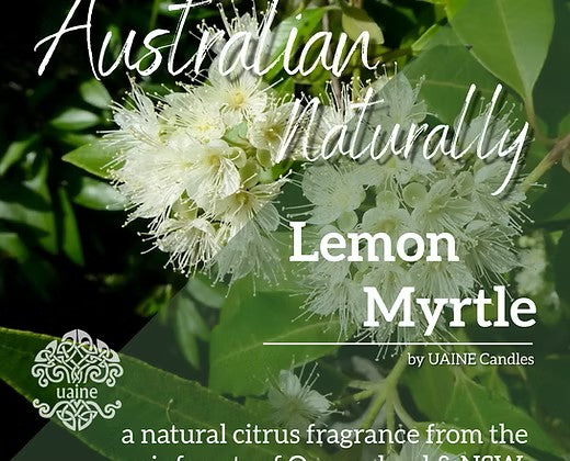 Uaine Candles Australian Naturally Travel Tin – Lemon Myrtle