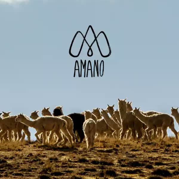 Amano Yarn